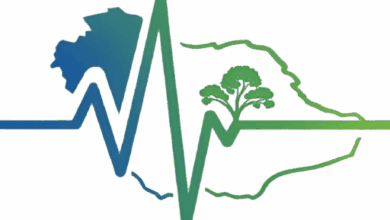 نبض الجزيرة - شعار