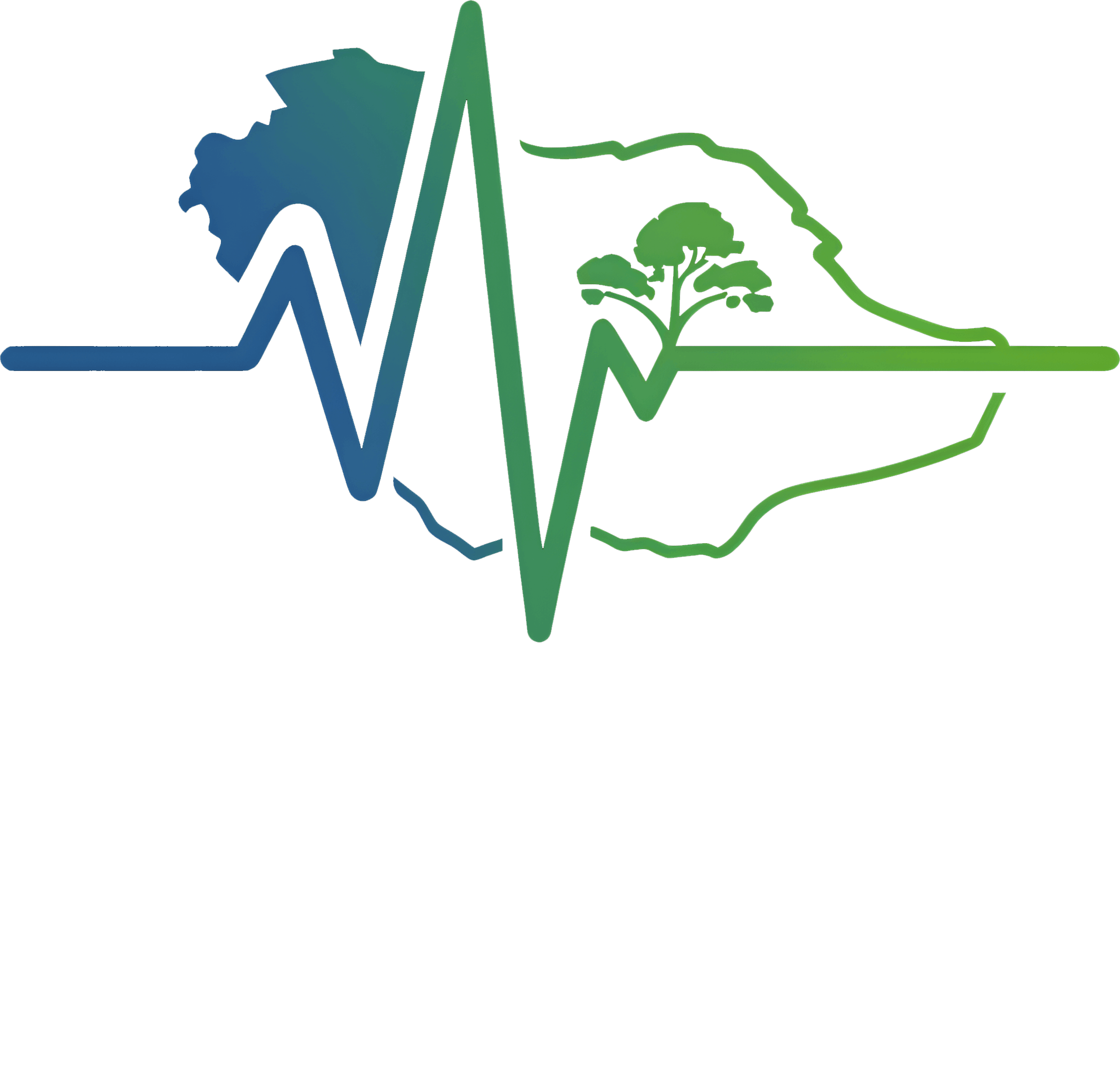 عن نبض الجزيرة